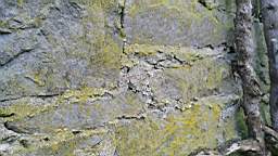 acastle 105735.jpg